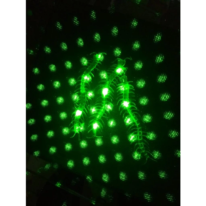 Çocuk Şaka Yılan ve Kırkayak Karışık 36 Adet