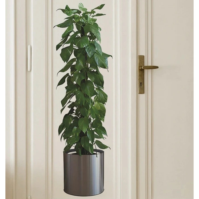 Eğitici Oyuncak Saksılı Bitki Tasarımlı Yapışkanlı Sticker Resim 90*30 cm MC-665