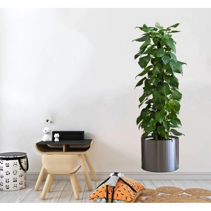 Eğitici Oyuncak Saksılı Bitki Tasarımlı Yapışkanlı Sticker Resim 90*30 cm MC-665