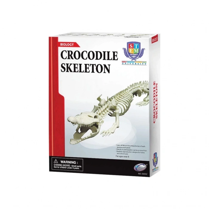 Eğitici Oyuncak Timsah İskeleti Bilim Seti