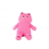 Eğitici Çocuk 4905 Pembe Renk 55 cm Kedi