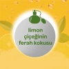 Çocuk Dalin Sprey Bebek Kolonyası Limon Çiçeği 150 ml