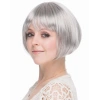 Gümüş Parti Peruğu Şık ve Modern Düz Kesim