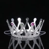 Eğitici Çocuk Gümüş Renk Çocuk ve Yetişkin Uyumlu Kraliçe Tacı Prenses Tacı 8X25 cm