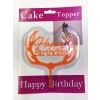 Eğitici Oyuncak Happy Birthday Yazılı Turuncu Dallı Pasta Kek Çubuğu