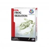 Eğitici Oyuncak Kurbağa İskeleti Bilim Seti