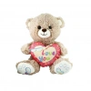 Çocuk PJH2324  Peluş Kalpli Ayı Love You 30 cm -Vardem