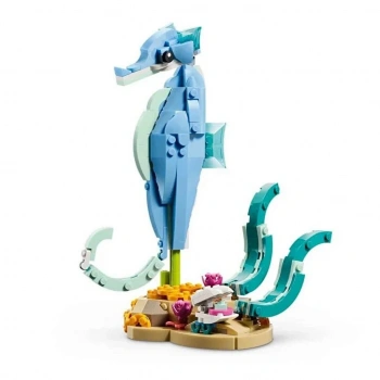 Deniz Hayvanları: Güzel Yunuslar 31385