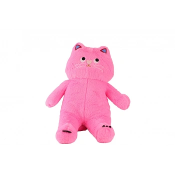 Eğitici Çocuk 4905 Pembe Renk 55 cm Kedi