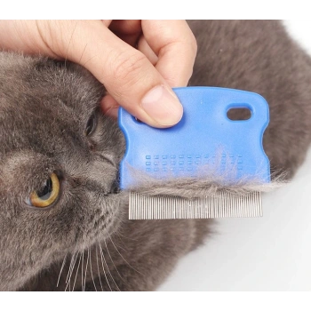 Eğitici Oyuncak Kedi Köpek Bit ve Pire Tarağı