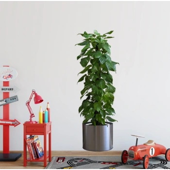 Eğitici Oyuncak Saksılı Bitki Tasarımlı Yapışkanlı Sticker Resim 90*30 cm MC-665