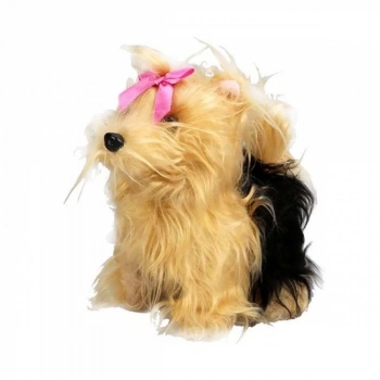  Sunman Sevimli Köpek Terrier