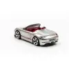 Hot Wheels Silver Series Zamac Multipack 6lı Set - JLB26