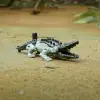 TRANSFORMERS: Rise of the Beasts , Skullcruncher, F3895-F4601
