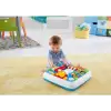 Fisher Price Eğitici Köpekçiğin Aktivite Masası ,DRH44