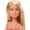 Barbie ve Eğlenceli Havuzu, 30 cm Boyunda, Kaydıraklı Havuz Oyun Seti