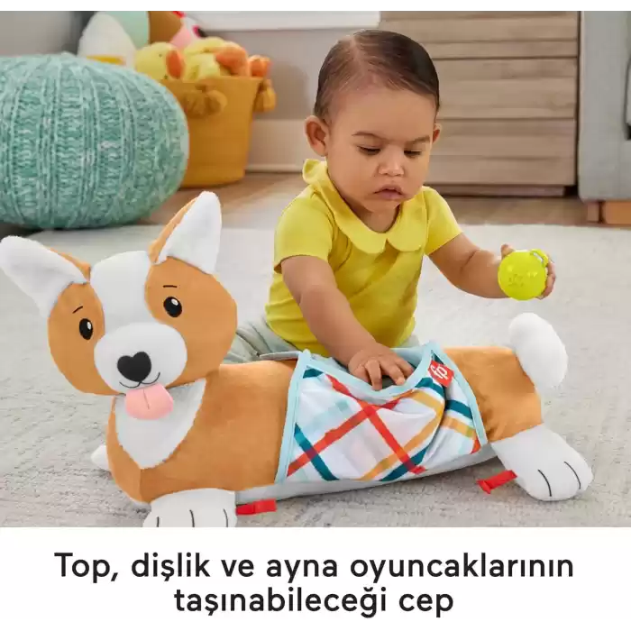 Fisher-Price 3ü 1 Arada Köpekçik Uzanma Yastığı, HJW10