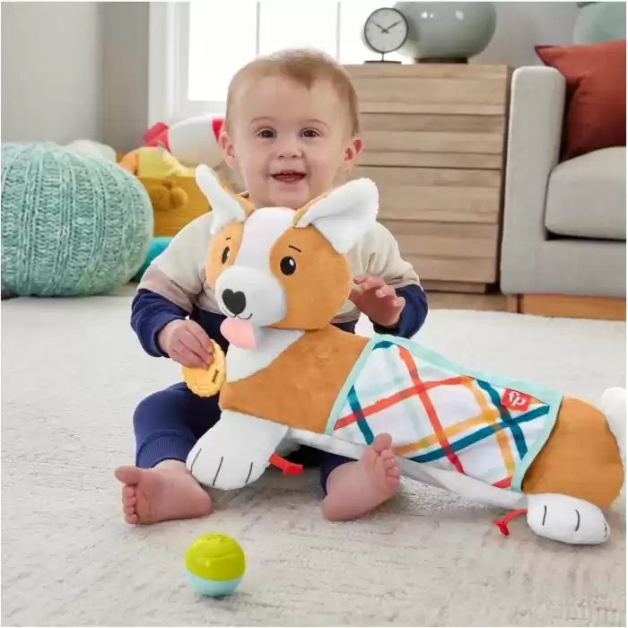 Fisher-Price 3ü 1 Arada Köpekçik Uzanma Yastığı, HJW10