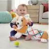 Fisher-Price 3ü 1 Arada Köpekçik Uzanma Yastığı, HJW10