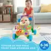 Fisher-Price Eğlen & Öğren Yaşa Göre Gelişim, Eğitici Köpekçik Yürüteç