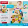 Fisher-Price Eğlen & Öğren Yaşa Göre Gelişim, Eğitici Köpekçik Yürüteç