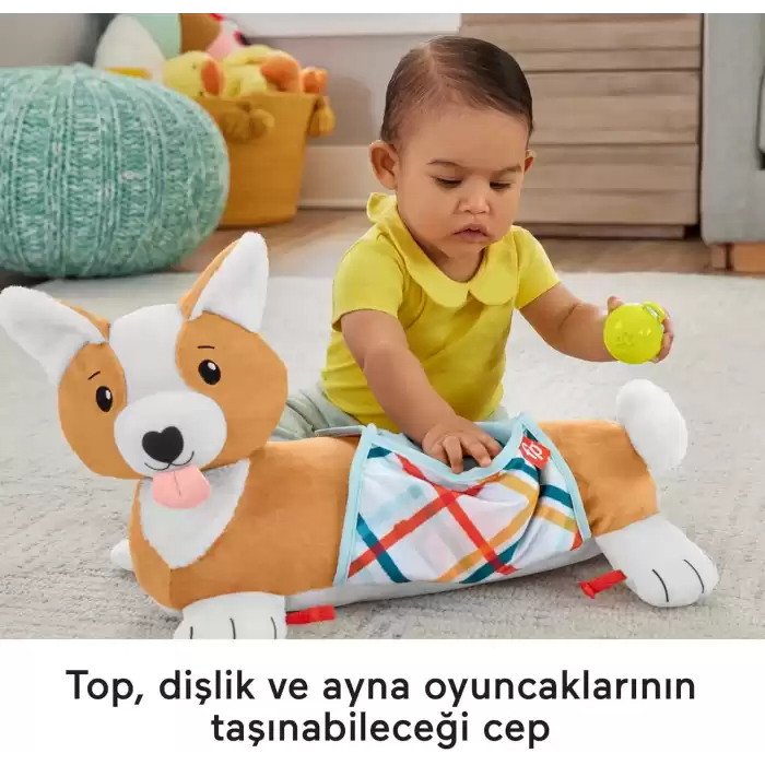 Fisher-Price 3ü 1 Arada Köpekçik Uzanma Yastığı, HJW10