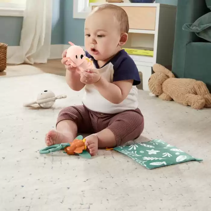 Fisher Price Duyuları Harekete Geçiren Oyun Seti - HRB17