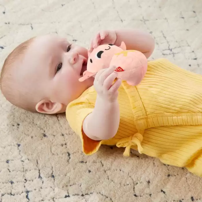 Fisher Price Duyuları Harekete Geçiren Oyun Seti - HRB17