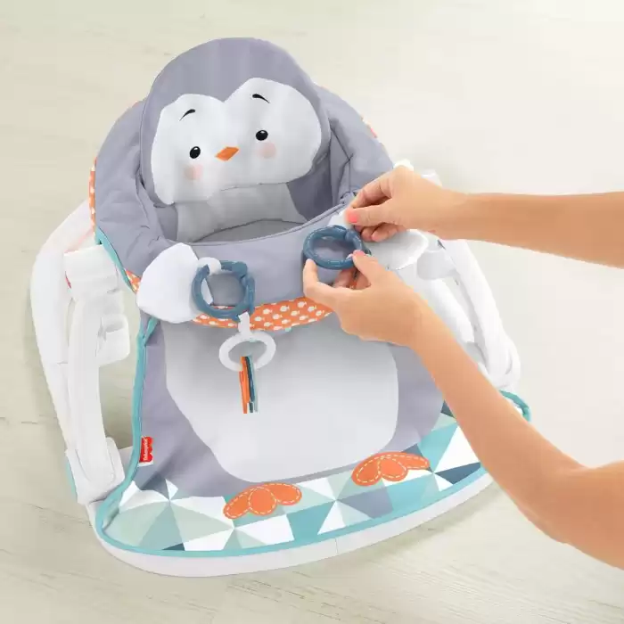 Fisher Price Tepsili Penguen Adası Anakucağı, HBF27