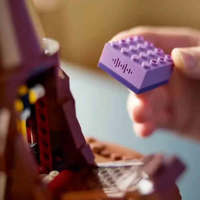 LEGO Harry Potter Konuşan Seçmen Şapka, 76429