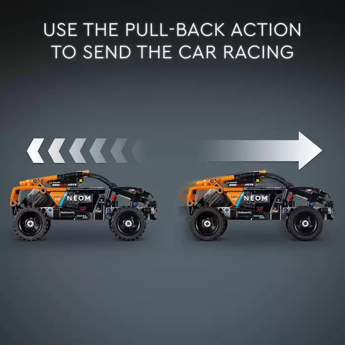 LEGO Technic NEOM McLaren Extreme E Race Car - 42166