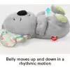 Fisher-Price Uyku Arkadaşı Koala (GRT59)