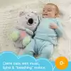 Fisher-Price Uyku Arkadaşı Koala (GRT59)