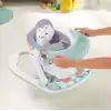 Fisher Price Tepsili Penguen Adası Anakucağı, HBF27