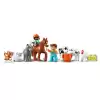 LEGO DUPLO Çiftlikte Hayvanların Bakımı - 10416