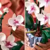 LEGO Art Orkide 10311