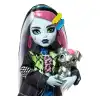Monster High Acayip Havalı Arkadaşlar Frankie Stein, HXH73