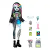Monster High Acayip Havalı Arkadaşlar Frankie Stein, HXH73