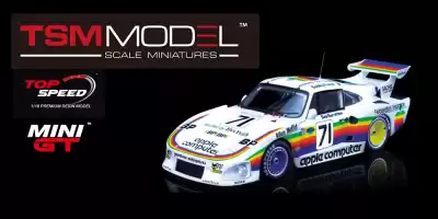 Mini GT Hakkında Merak Edilenler - TSM