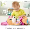 Fisher-Price Eğlen & Öğren, Eğitici Köpekçiğin Kız Kardeşi, Sesli (Türkçe)