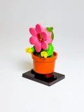 Halloween - Flowerpot Girl