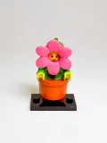 Halloween - Flowerpot Girl