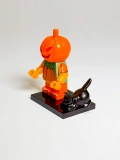 Halloween - Jack o Lantern