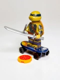 Ninja Turtles - Leonardo 2