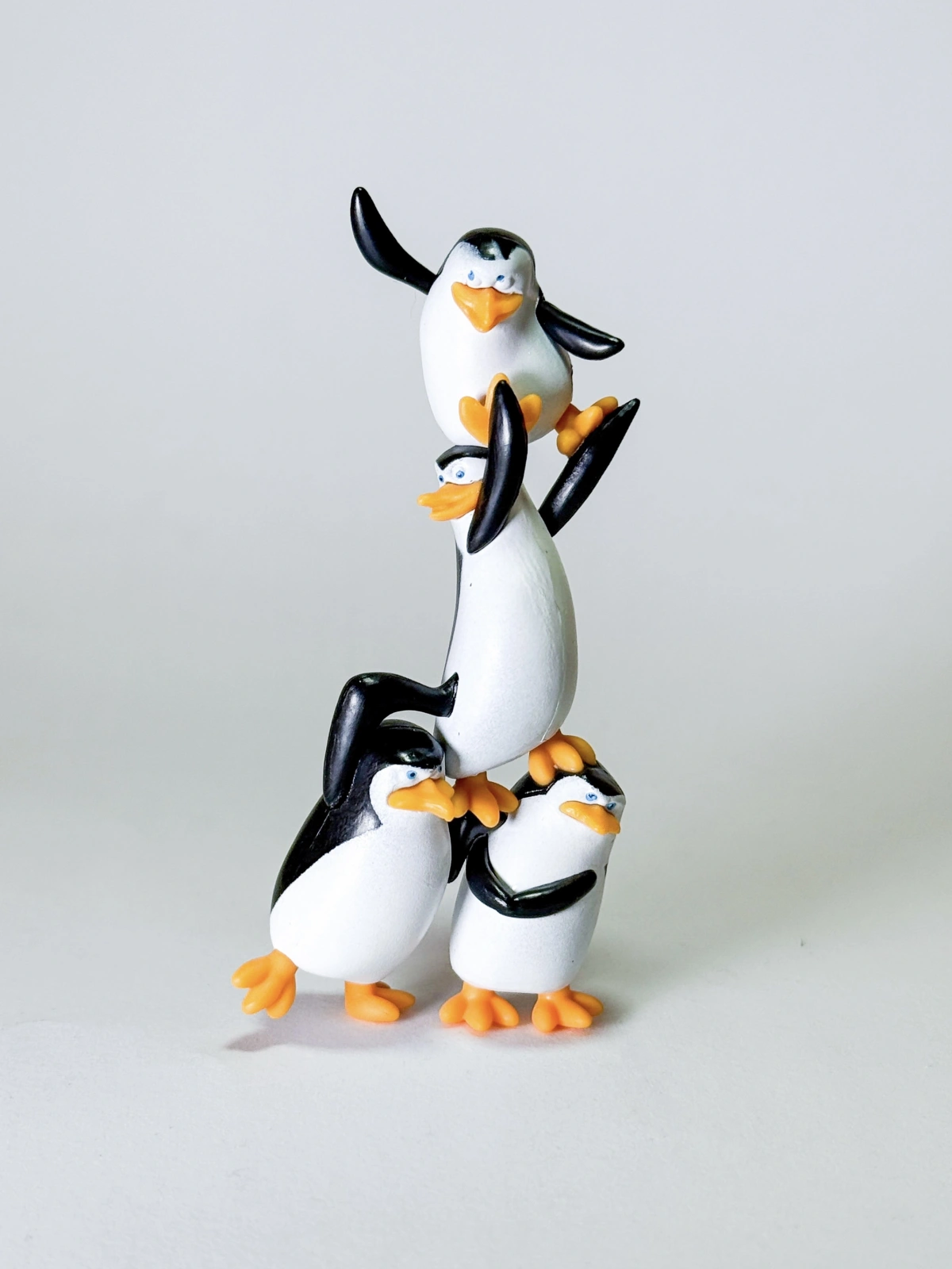 Madagaskar - Penguenler