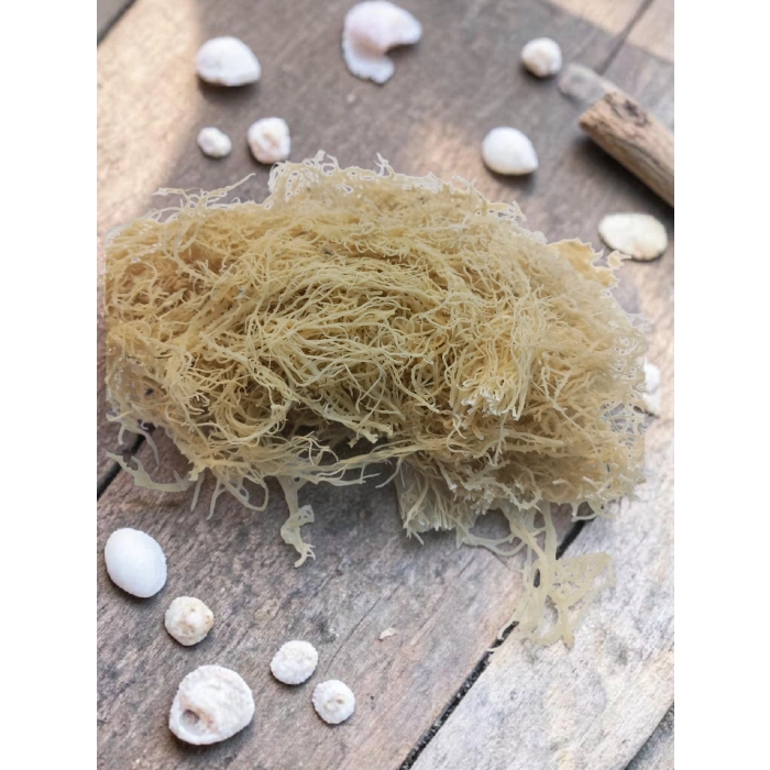 Deniz Kadayıfı 25 Gr