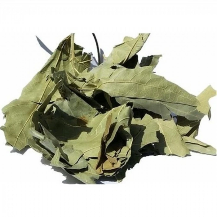 Çınar Yaprağı 30 Gr