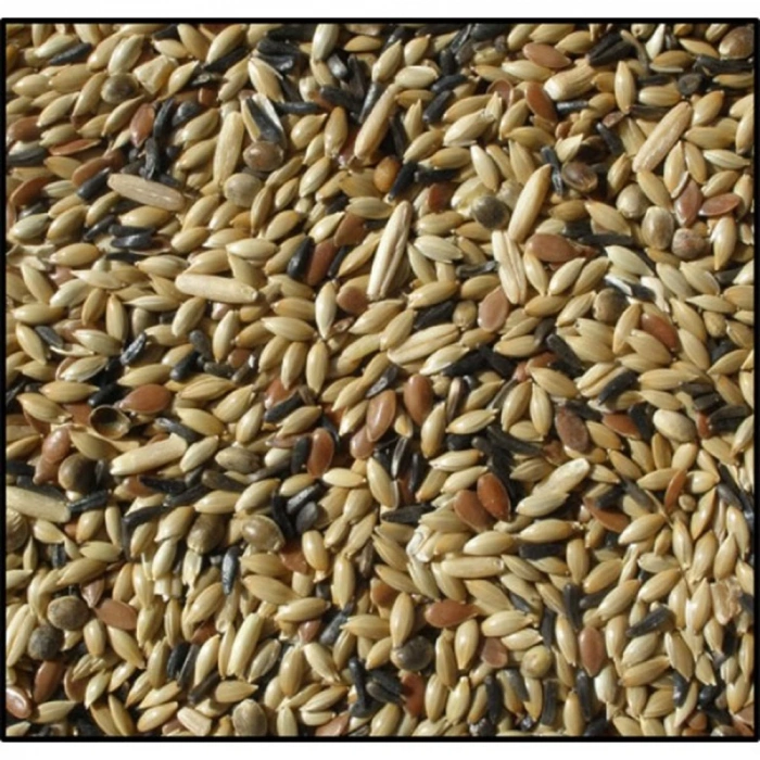 Kanarya Yemi Karışık 500 Gr
