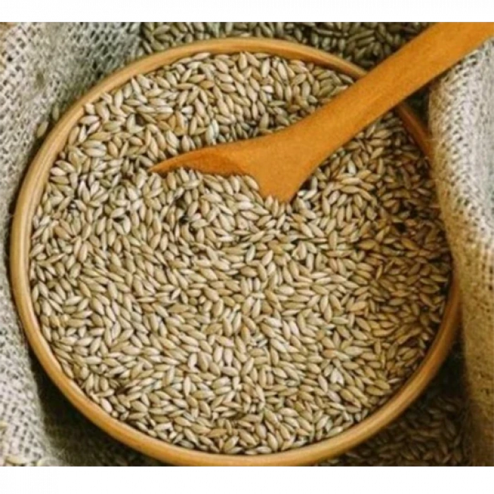 Kanarya Yemi Sade 500 Gr