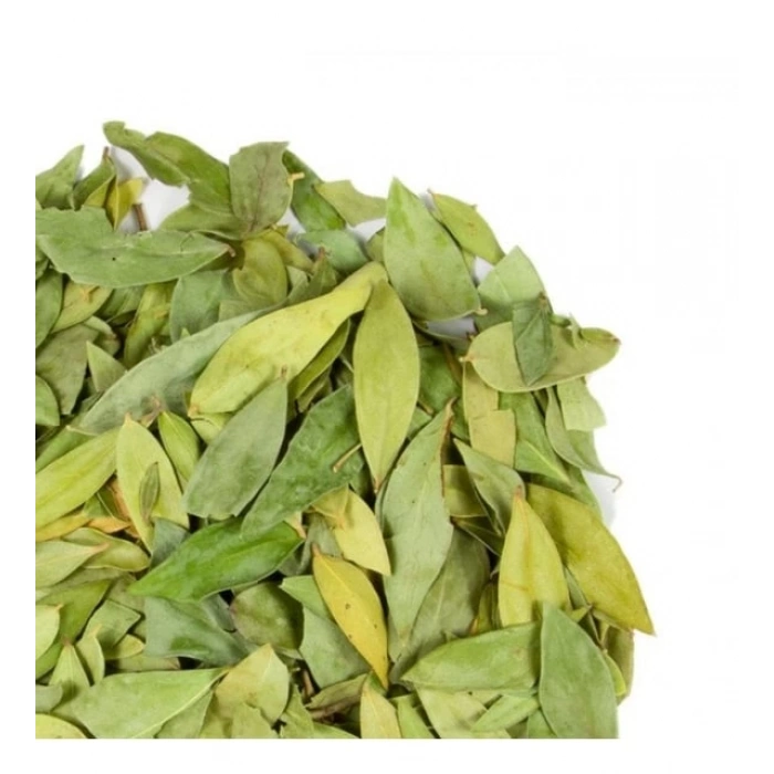 Mersin Yaprağı 50 Gr